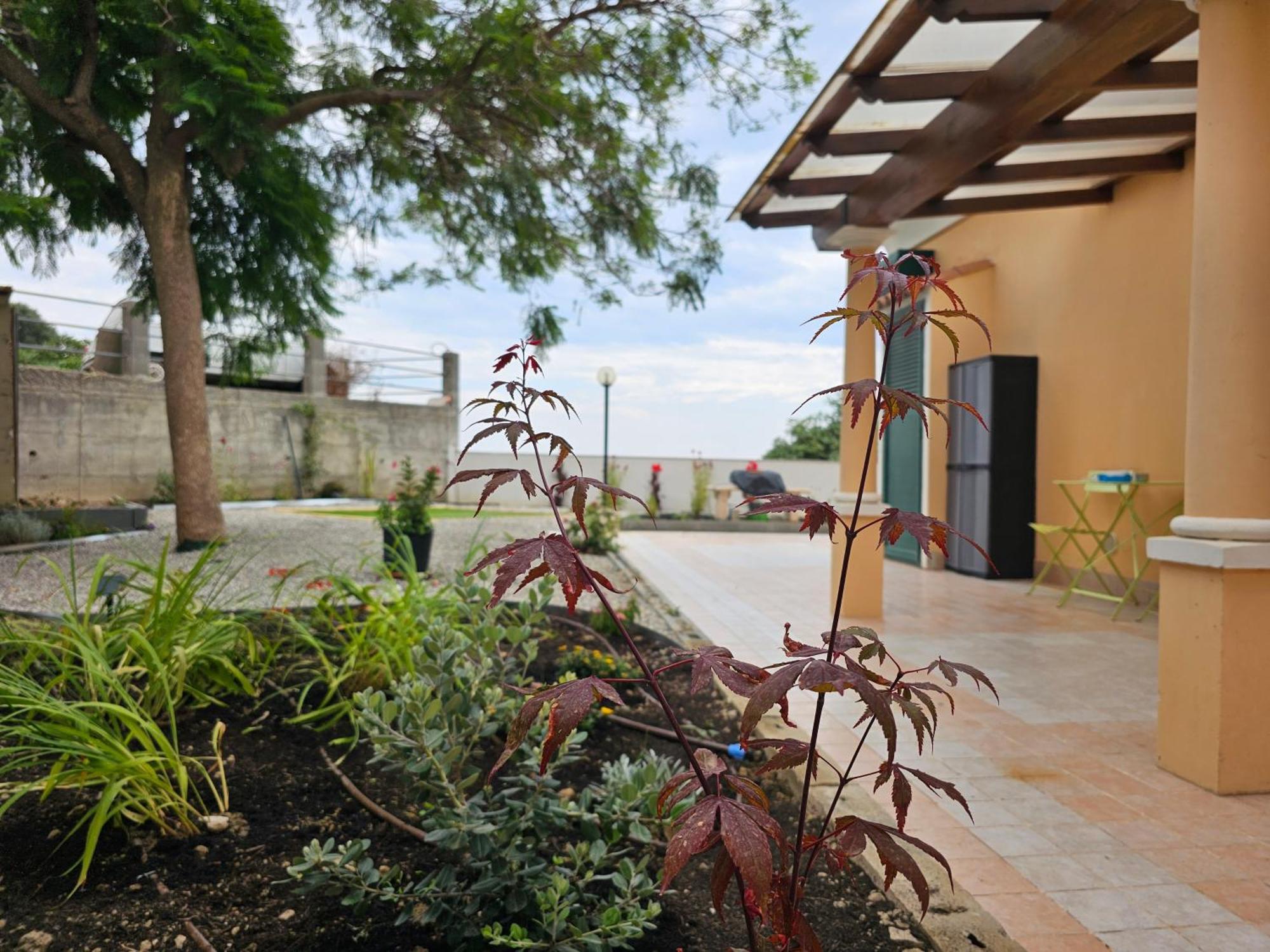 Villa Avocado Ventimiglia Exterior foto